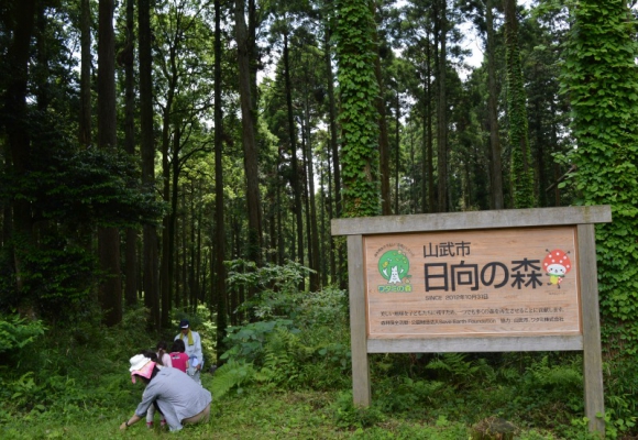 生物多様性が豊かな日向の森