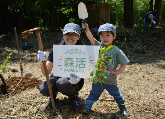 ササの根を断ち切りながら、ヤマザクラの苗木を植樹