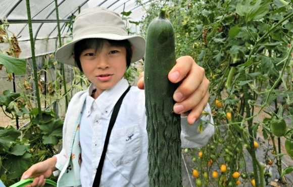 生の野菜をそのまま味わう。新鮮さと野菜のおいしさに感動