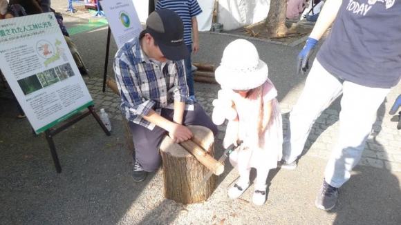 SEFスタッフの指導のもと、小さな子どもも丸太切りを楽しんだ