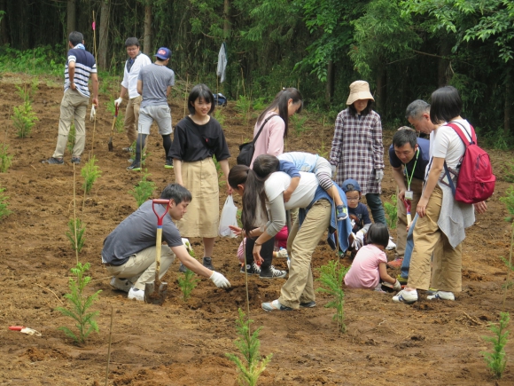 もう少しで植樹も完了