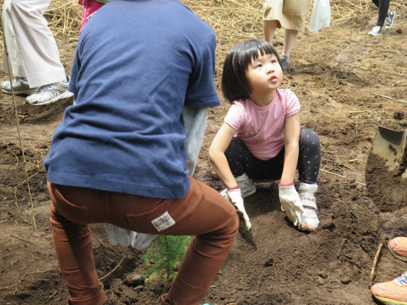 植林を頑張る女の子